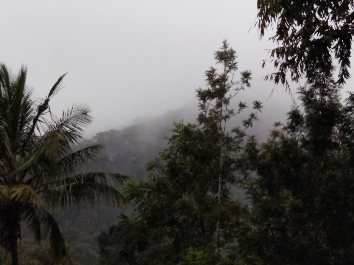 Bandekallu Homestay Chikmagalūr Exterior foto